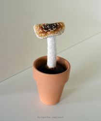 Potted Mushroom